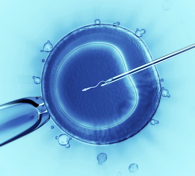 in vitro fertilization